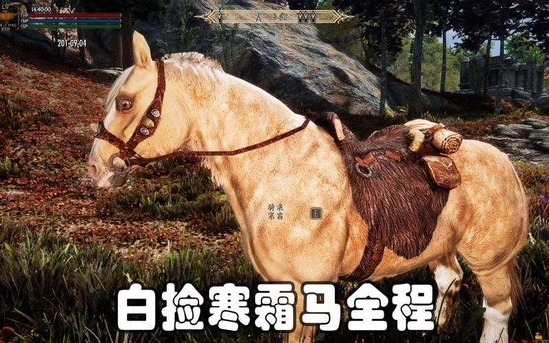 老滚5寒霜马有必要留吗图标