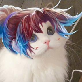 猫王者荣耀头像图片大全缩略图