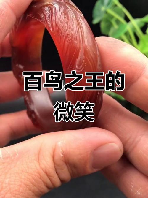 20161225百鸟之王游戏截图