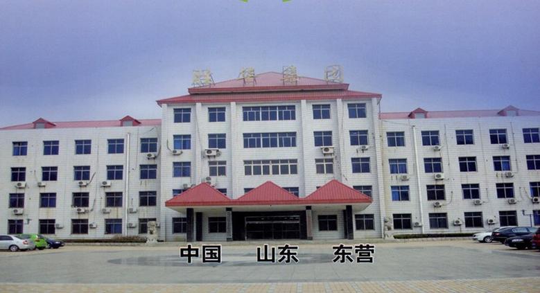 胜利油田胜华实业有限责任公司图标