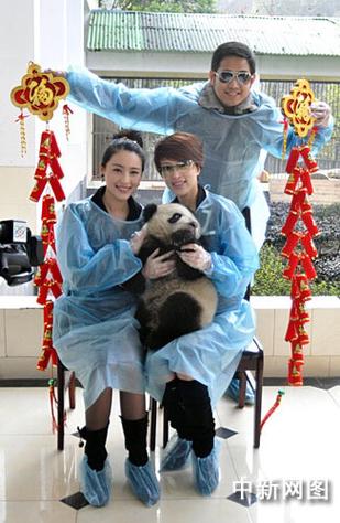 电视剧熊猫影视游戏截图