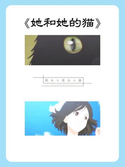 一只猫影视2026最新版缩略图