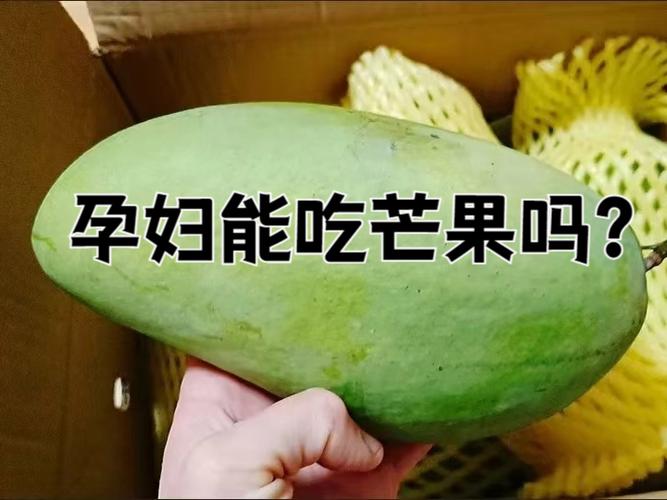 孕妇可以吃芒果吗缩略图