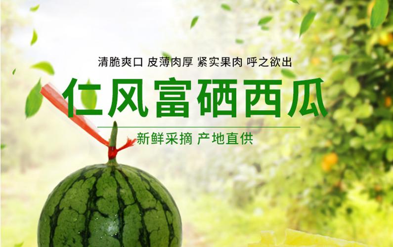 西瓜的详细介绍缩略图