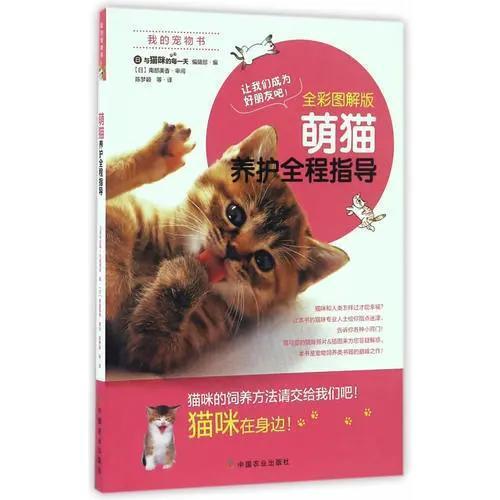 适合新手养的猫咪缩略图