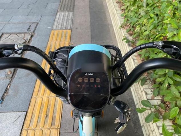 爱玛电动车充不进电是什么原因游戏截图