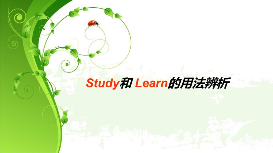 study与learn的用法区别缩略图