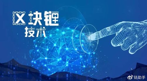 mc怎么查看区块