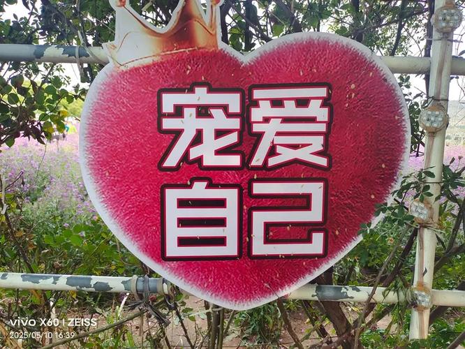 宠物继承的步骤