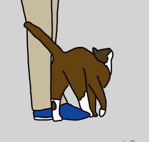 猫在人类腿上磨蹭的原因图标