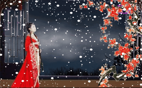 梅花欣赏视频缩略图