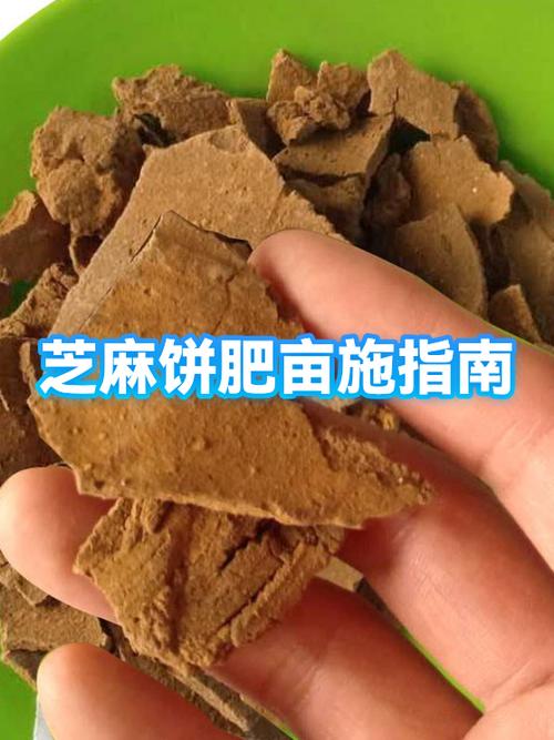 哺乳期可以吃芝麻饼吗缩略图