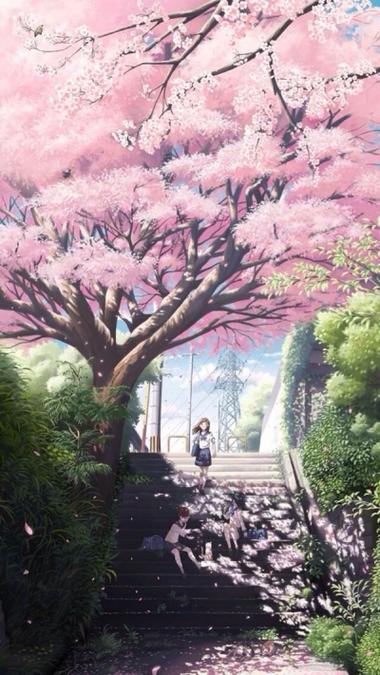 樱花动漫视频观看完整版缩略图