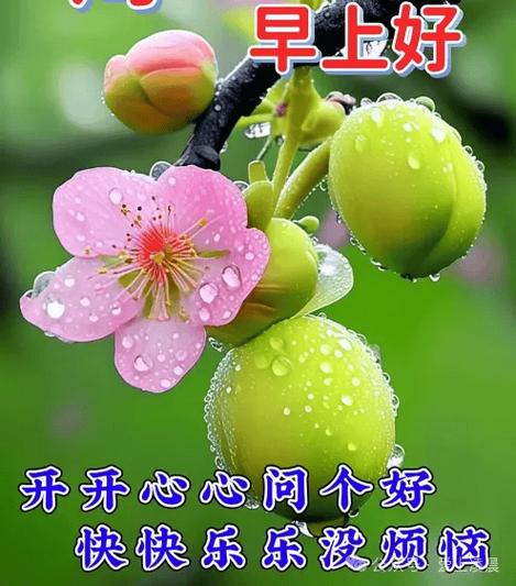 暖心打动人心的祝福语游戏截图