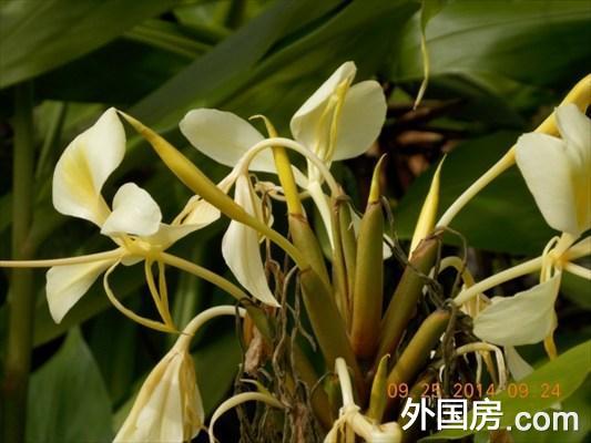火山解除锁定啥意思