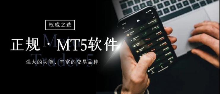 mt5下载官网图标