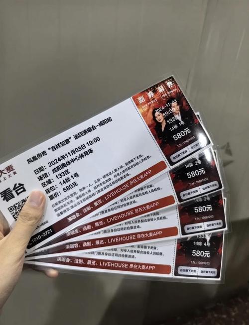 凤凰传奇官网购票入口缩略图