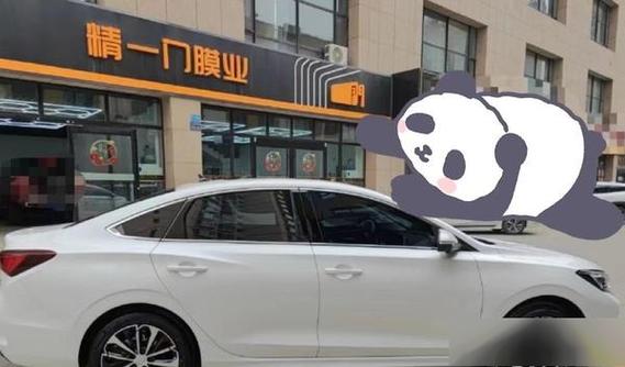 龙膜和精一门哪个好图标