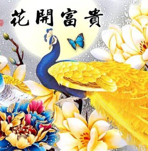 花开富贵图片微信缩略图