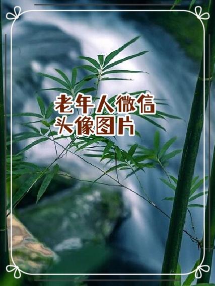 乐享看下载手机版下载