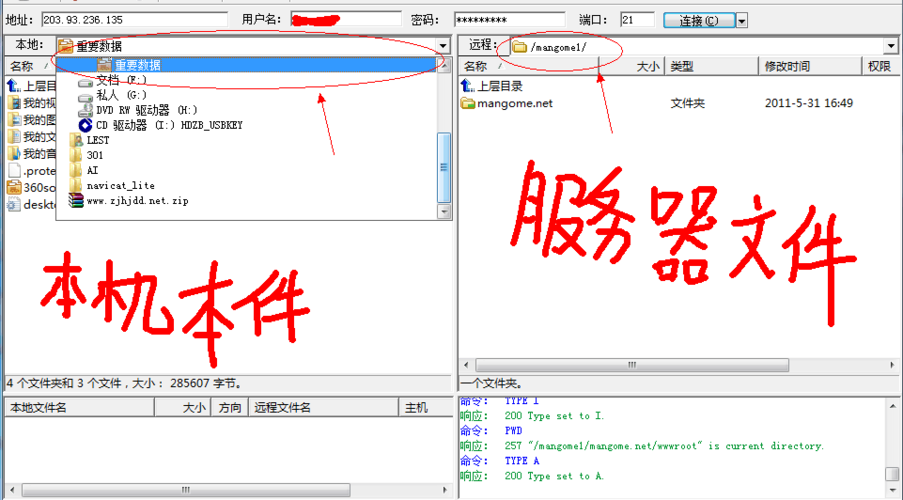ftp访问需要登录游戏截图