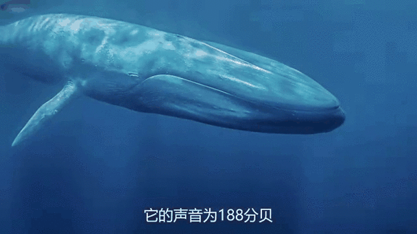下载语音朗读软件缩略图