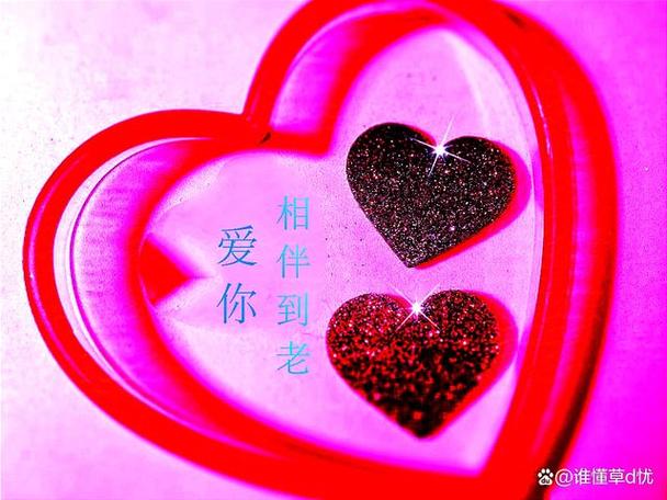 心心相伴下一句缩略图
