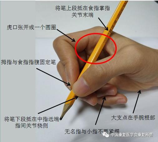 正确握笔方式缩略图