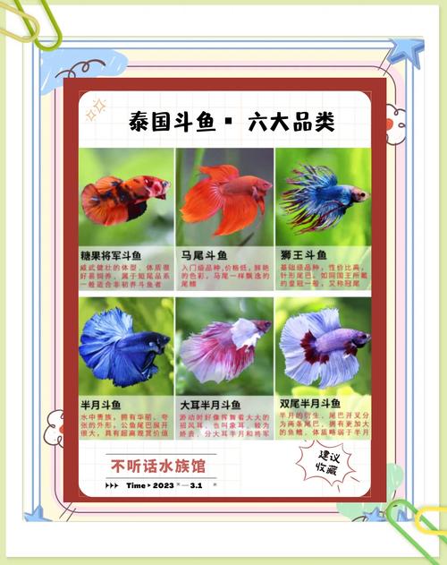 泰拉瑞亚小金鱼如何快速获得游戏截图
