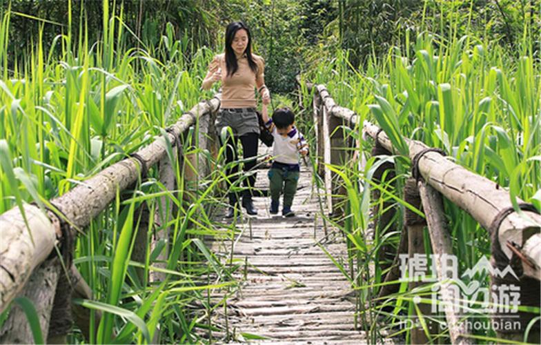 成都耍耍逍遥论坛2025.缩略图