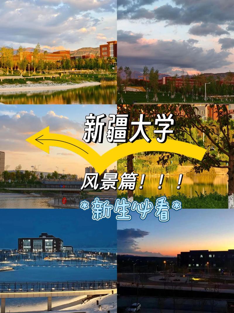 998jalap大学新疆大学APP下载