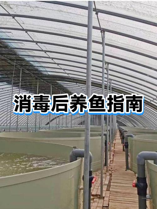 养鱼鱼缸里需要放盐吗