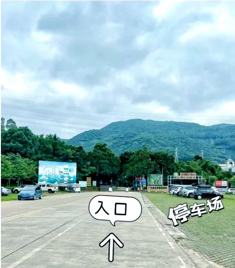 大岭山车管所在哪里