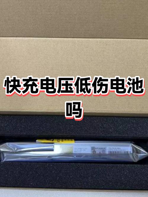 快充充电一晚上会损坏手机电池吗游戏截图