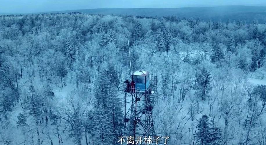 双探 电视剧 在线观看图标