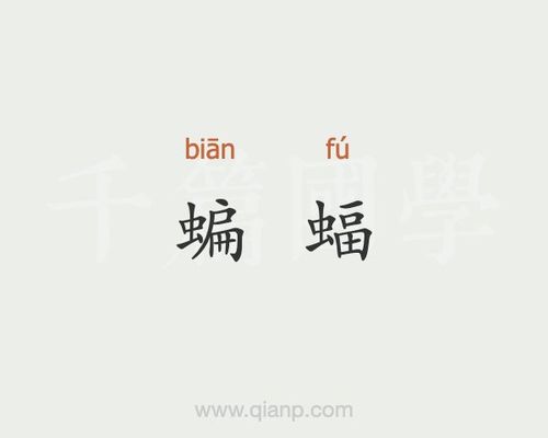 蝙蝠-安全聊天软件缩略图