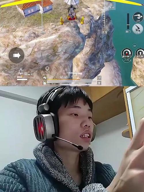 鲨鱼top和平精英画质游戏截图