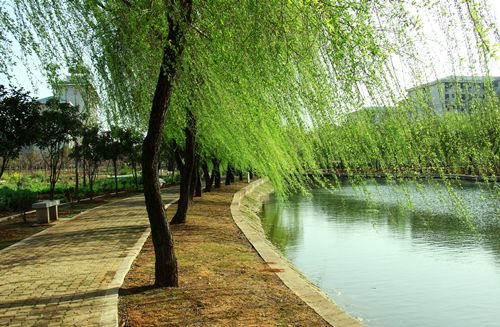 小说狐仙春景