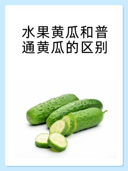 瓜类水果的营养价值图标