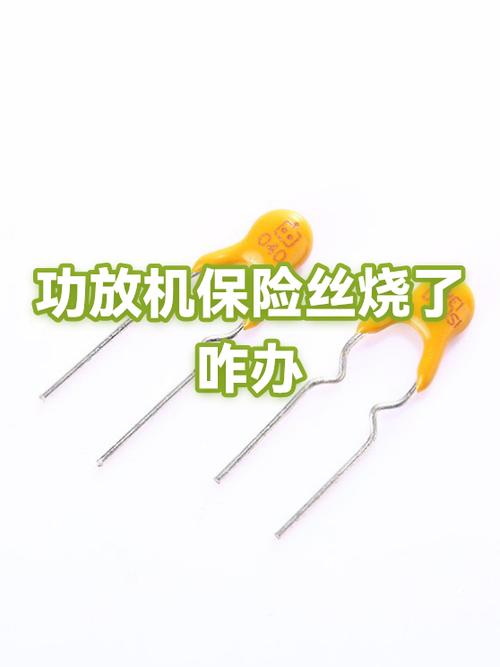 功放的保险丝烧了会有什么结果图标