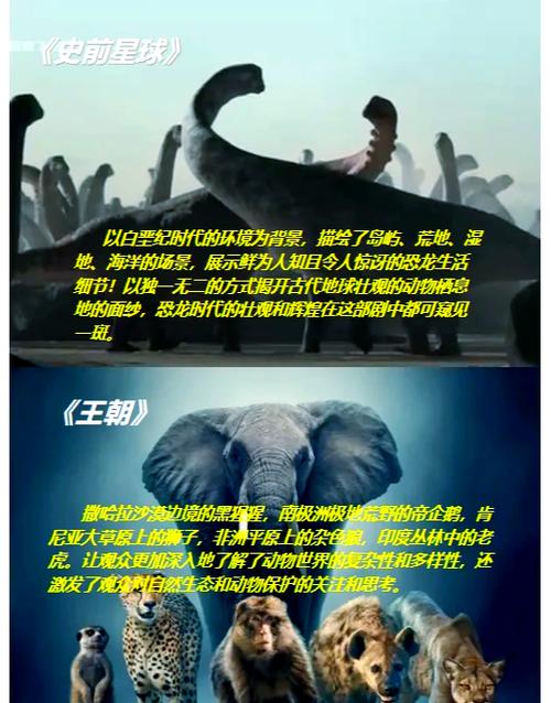 1-3岁必看的动物世界纪录片缩略图