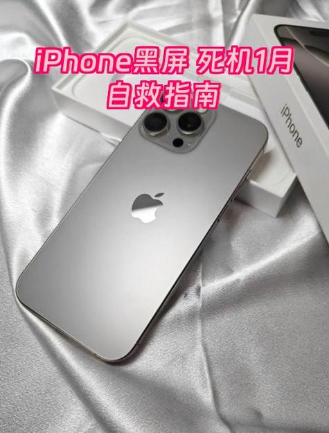 苹果11黑屏转圈图标