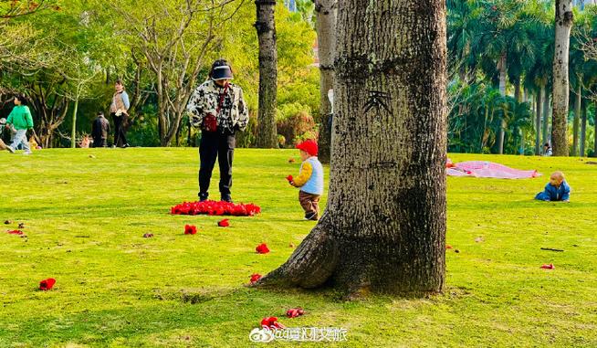 花视频素材缩略图