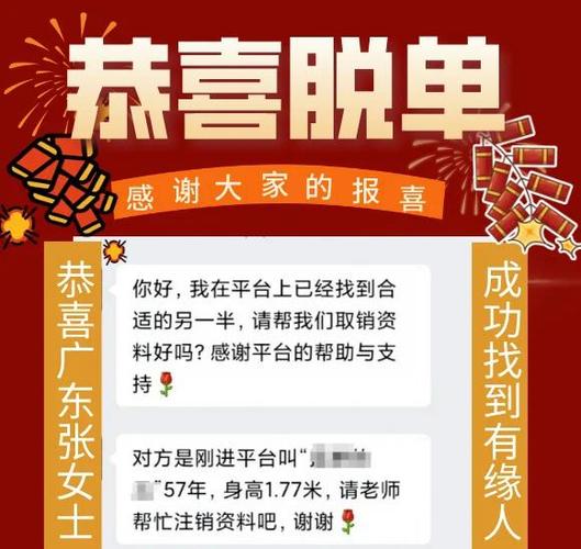 老年免费相亲平台缩略图