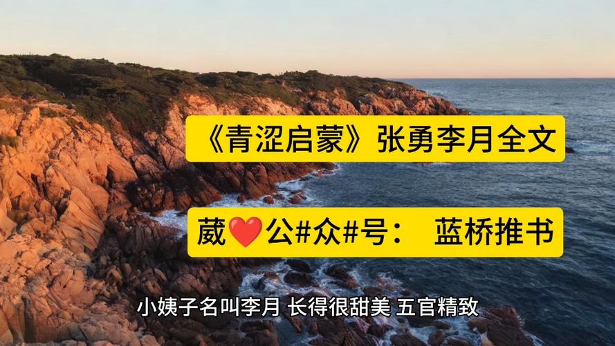 青涩启蒙txt小说李月