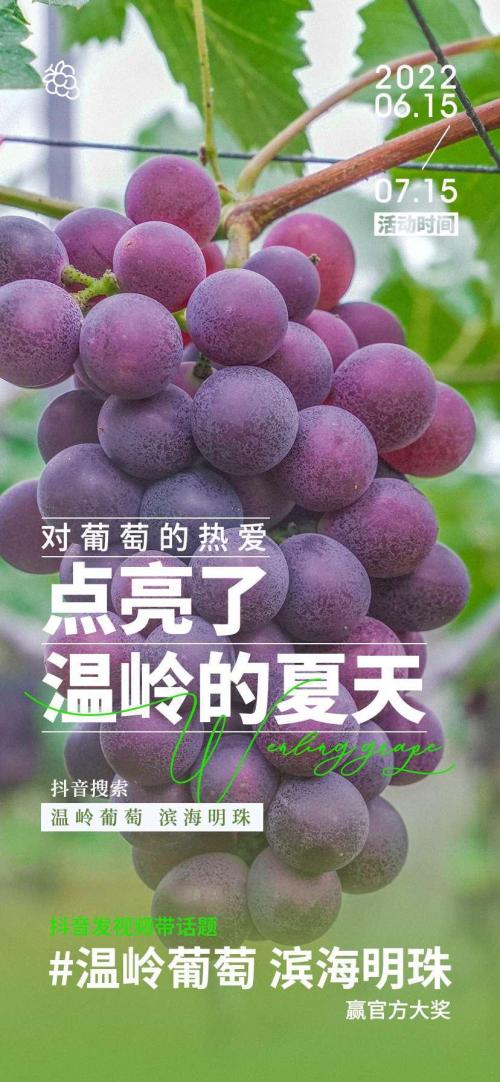 葡萄短视频的介绍缩略图