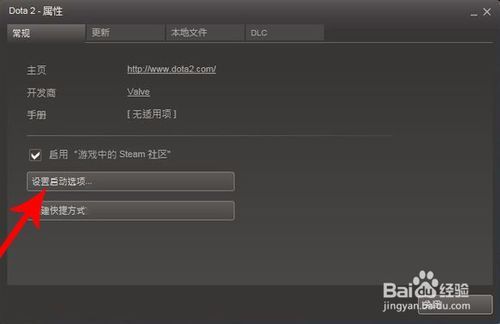 dota2设置perfectworld启动缩略图