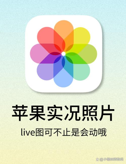8p实况照片声音开启