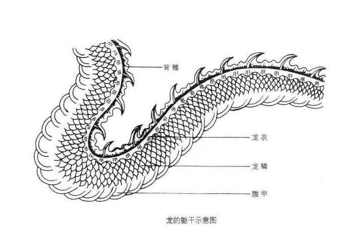 魔兽世界破碎的龙鳞在哪刷图标