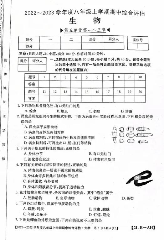 金太阳试卷答案网站游戏截图